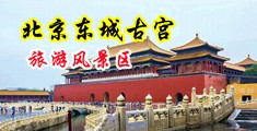 黑丝美女被草到高潮中国北京-东城古宫旅游风景区